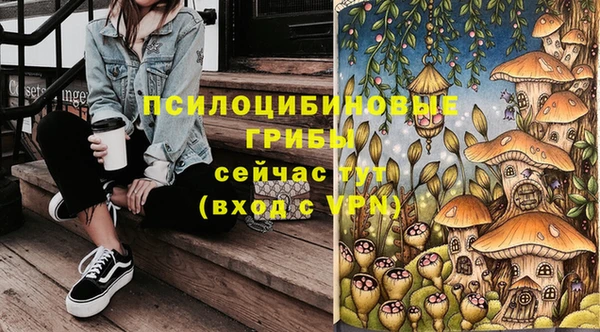 молекула духа Баксан