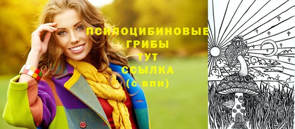 молекула духа Баксан