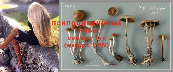 а пвп мука Балахна